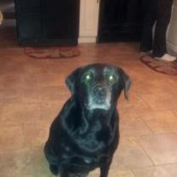 Meet your Posher, Janet - Picture 1 of 1